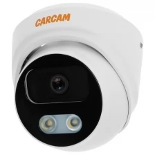 CARCAM CAM-8874P