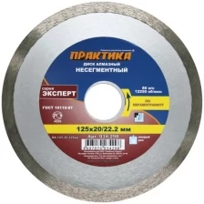 Диск алмазный Практика несегментный 125х20/22 мм"Эксперт-керамогранит"