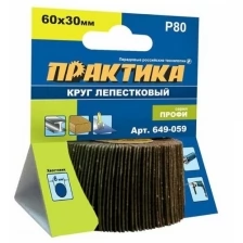 Круг лепестковый с оправкой (60х30 мм; P80) ПРАКТИКА 649-059